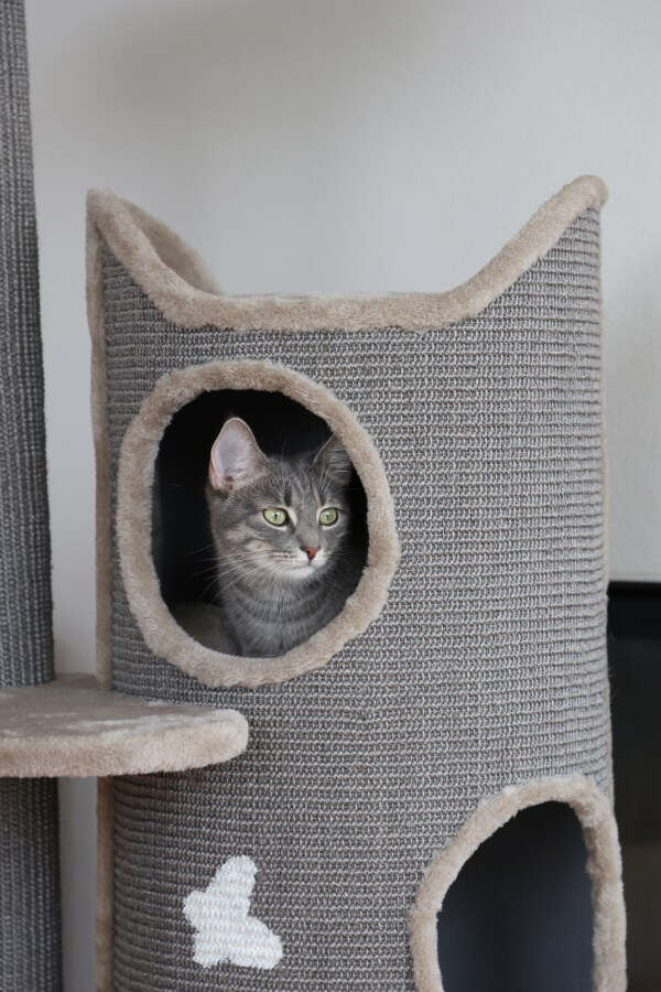 KERBL Kratzbaum Tiana